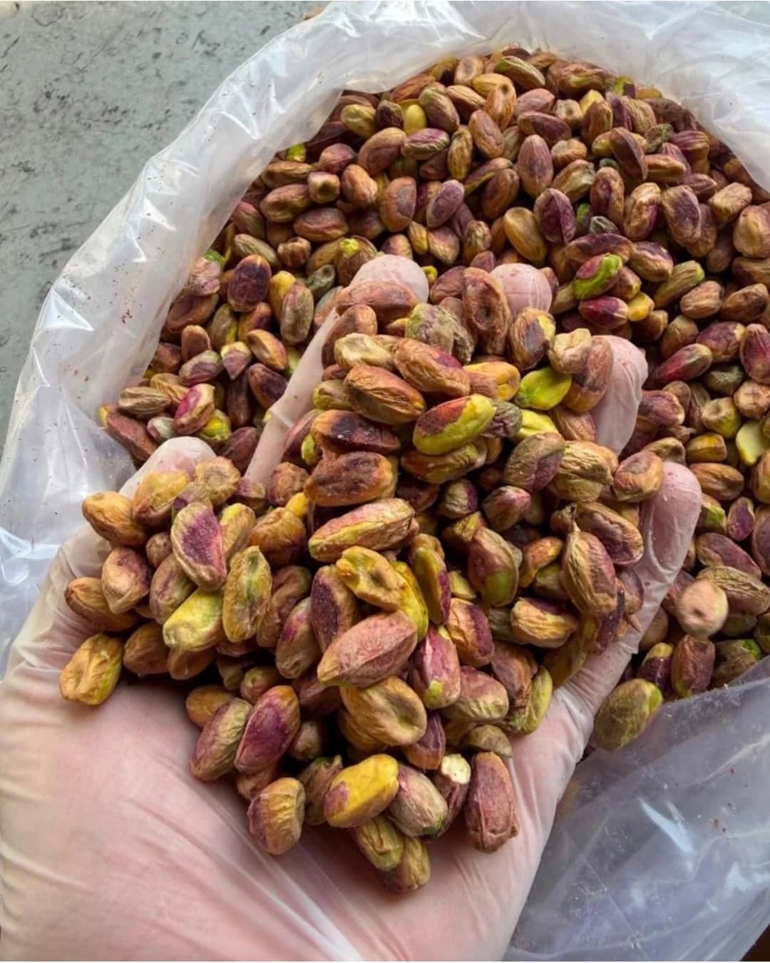 Segenggam kernel pistachio di tangan bersarung tangan, di atas kantong curah yang terbuka